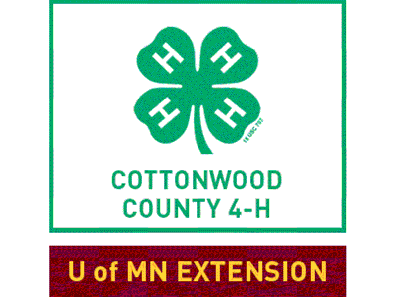 Fair Logo