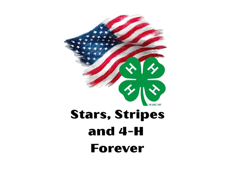 Logo for 2026 Nemaha County Fair